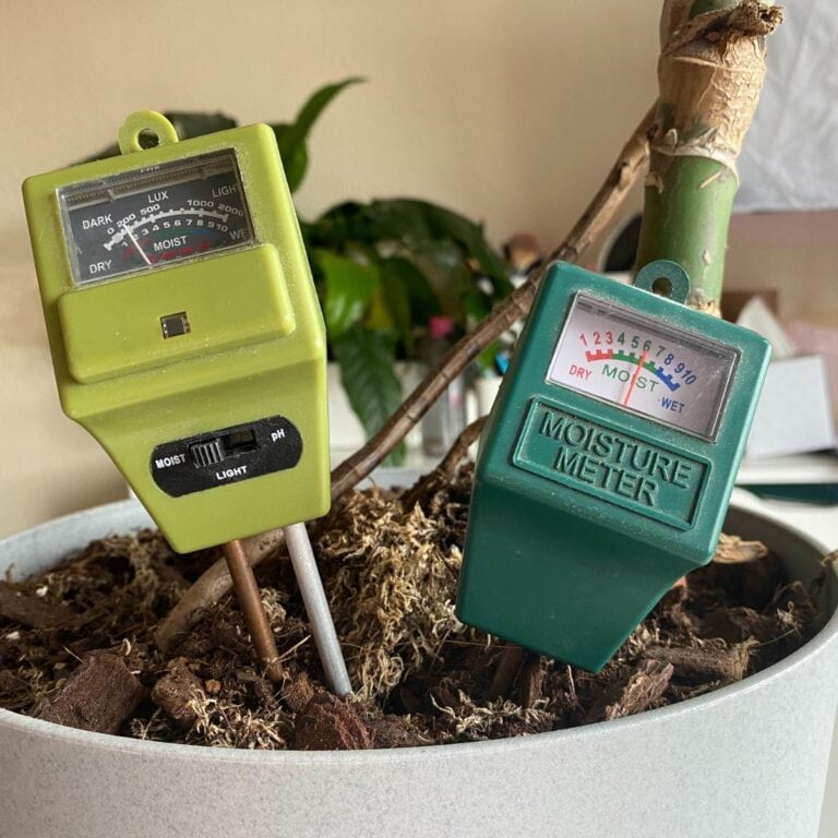 Watering - Planet Houseplant