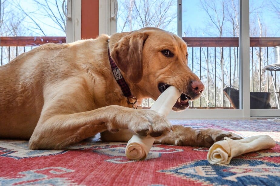 dog bones for large dogs