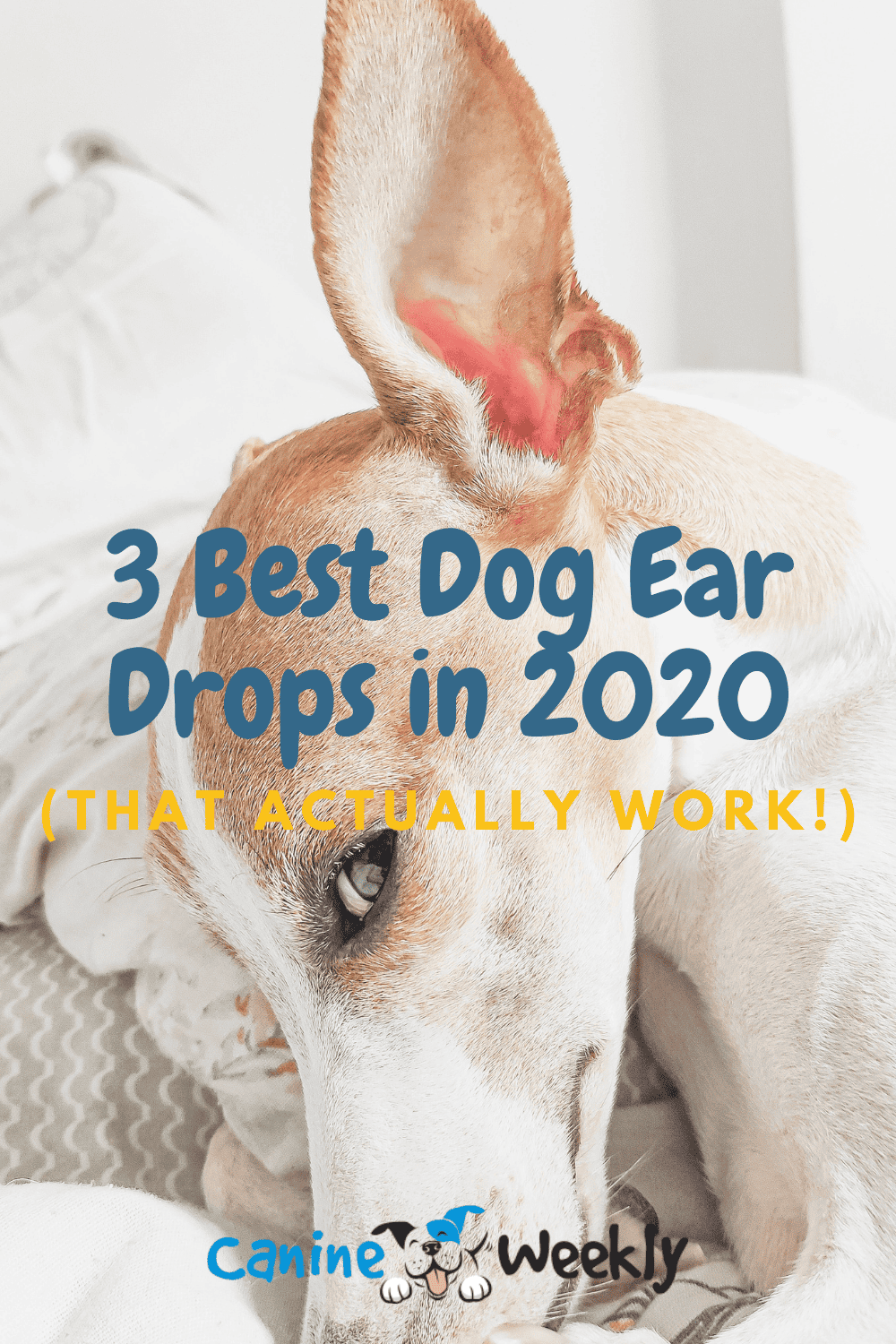 otc dog ear drops