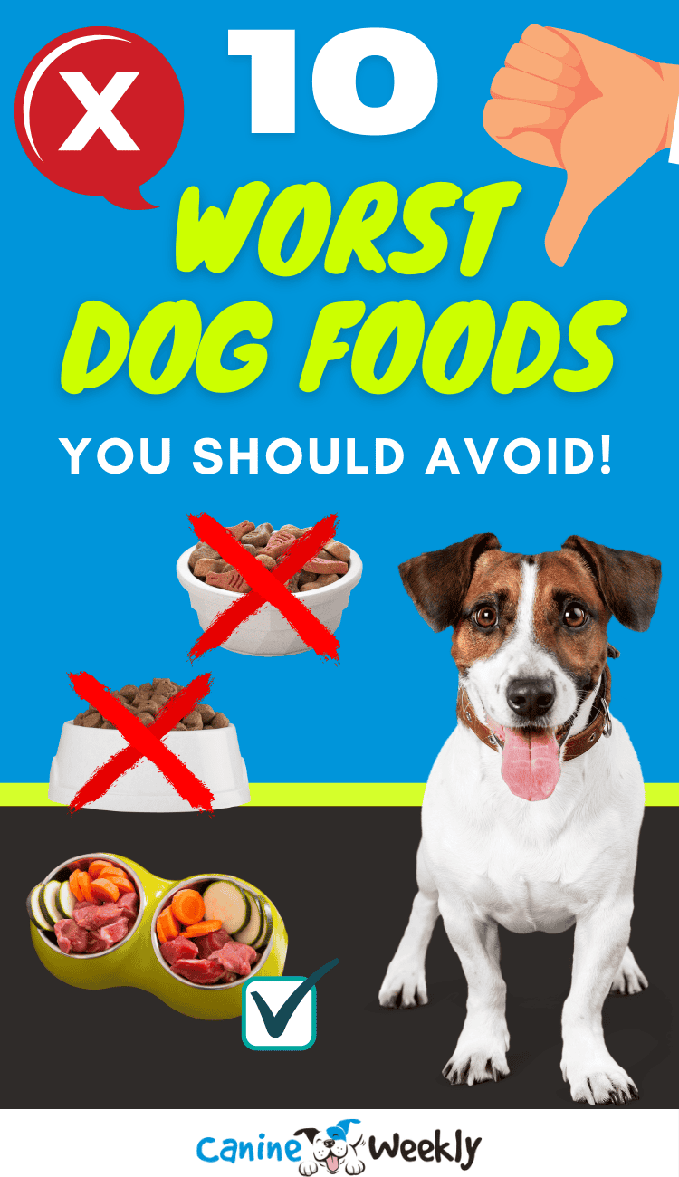 what are bad dog food brands