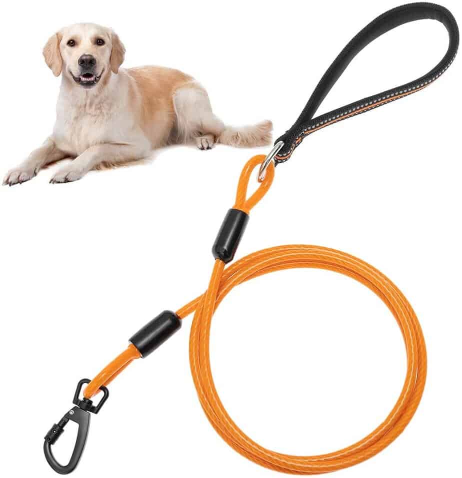bite proof dog lead