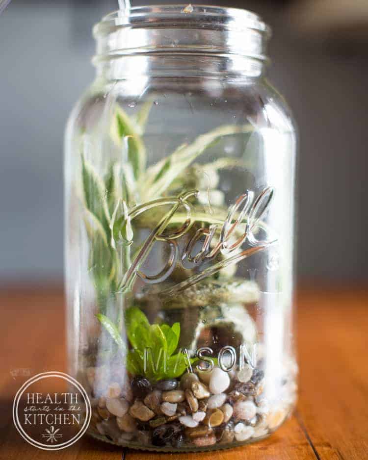 Diy Self Cleaning Canning Jar Aquarium Health Starts In The Kitchen