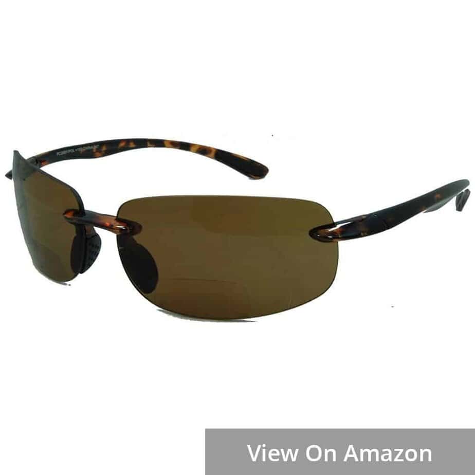 Best sunglass readers clearance