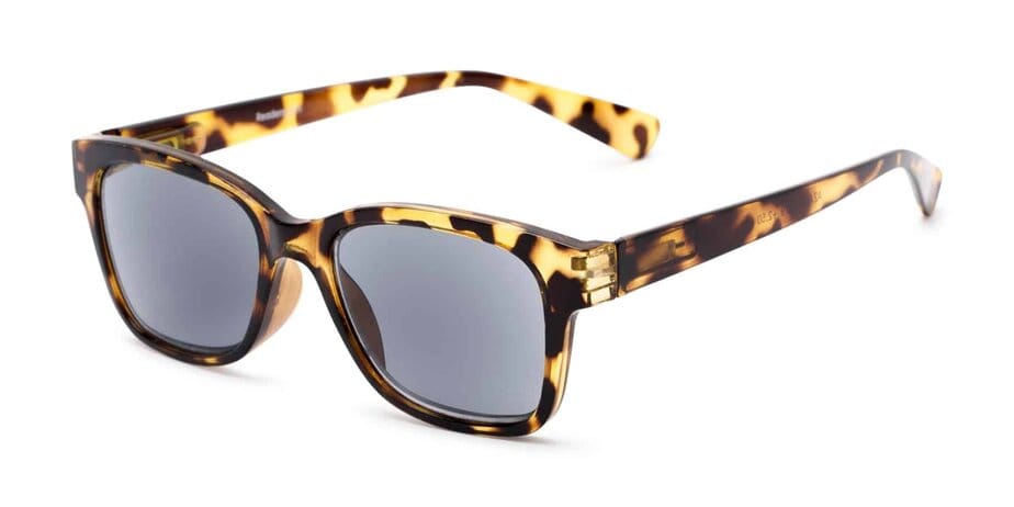 Best sun readers Clearance