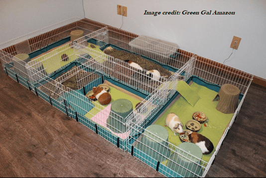 easy guinea pig cage
