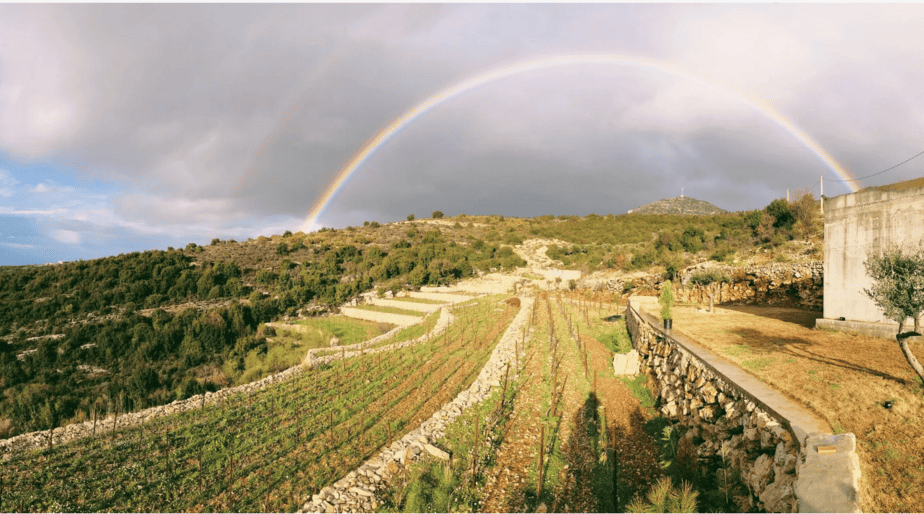 Sept Winery & Taproom (Amchit)