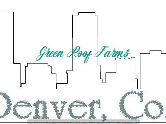 Denver Skyline