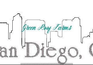 San Diego Skyline