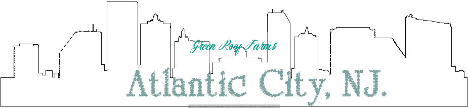 US Cities Skyline Pack 1 with 60 design cities - Image 6