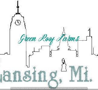 Lansing Skyline