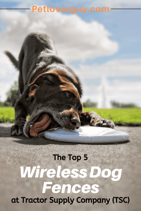 Electric Fence Tractor Supply Dog Fences Electric Fence Petsafe