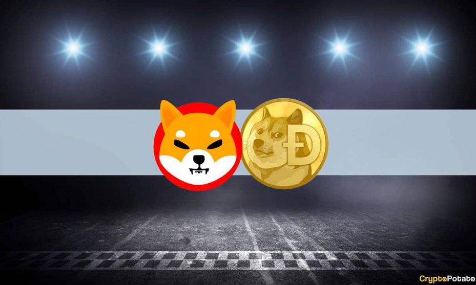 DogecoinShibaInu-τάσεις-crypto-2021