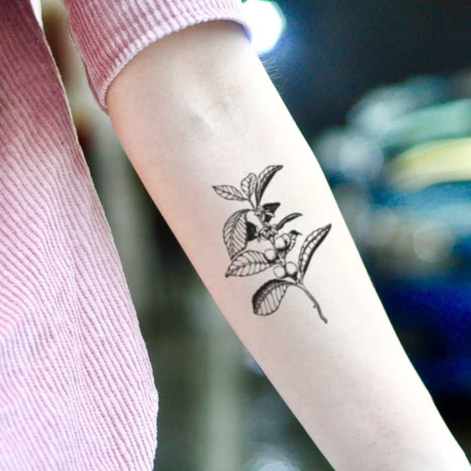 10 Simple Plant Tattoo Ideas Harunmudak