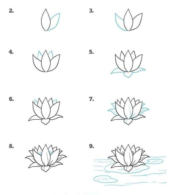 pic Simple Drawing Ideas Easy Cute Flowers flower drawings for beginners step by