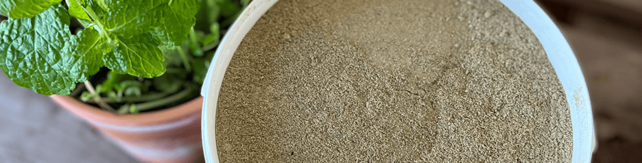 Maag supplement voor paarden