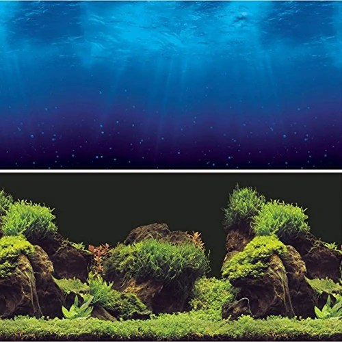 Get the best deals on aquarium background decorations when you shop the largest. Best Aquarium Backgrounds That Look Great And Are Good For Fish