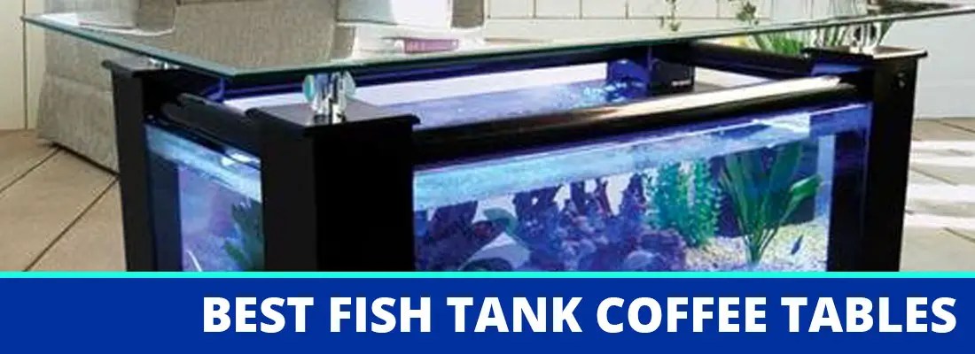 fish tank dining table