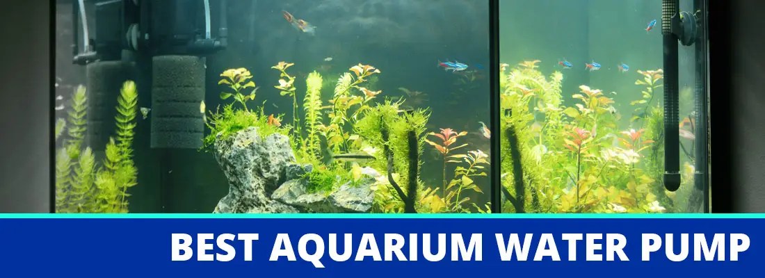 best aquarium pump