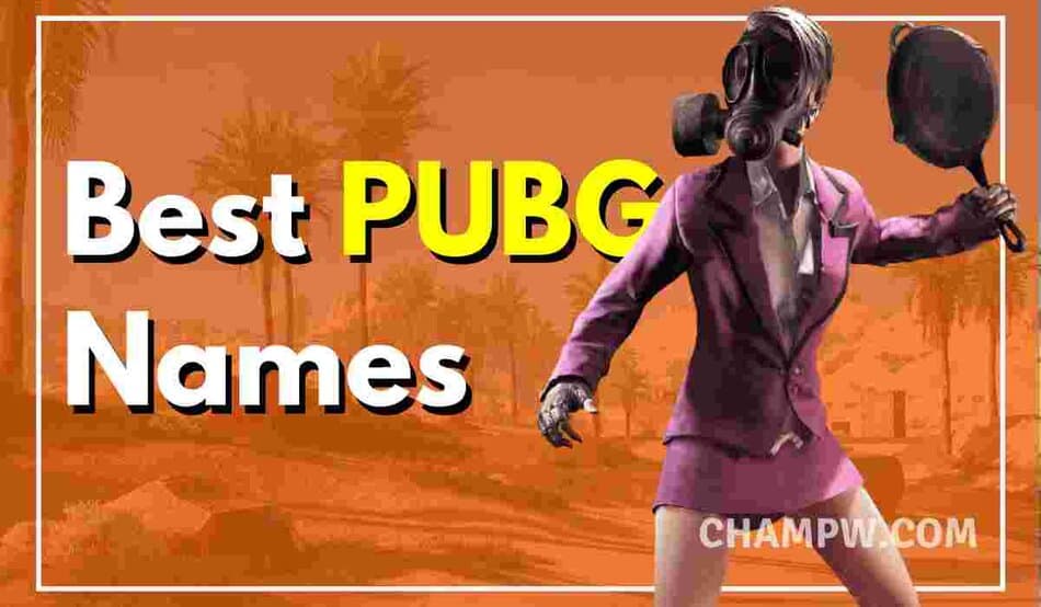 700 Best Pubg Names Stylish Cool Funny Pubg Names