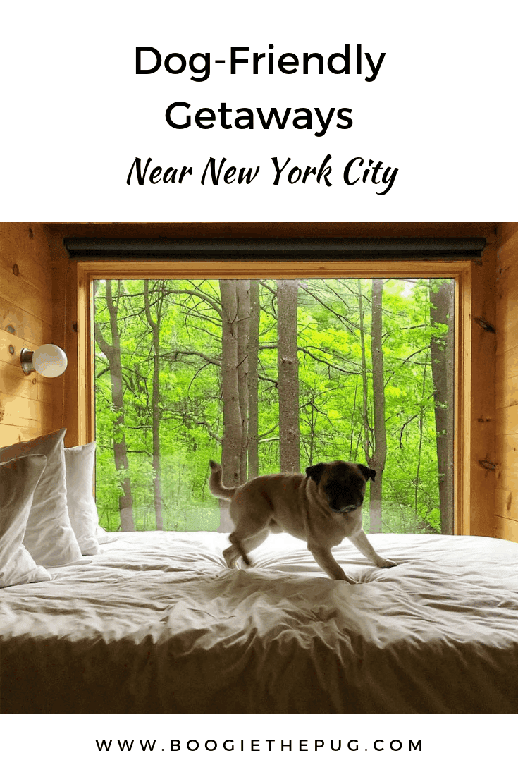 dog friendly weekend getaways near me