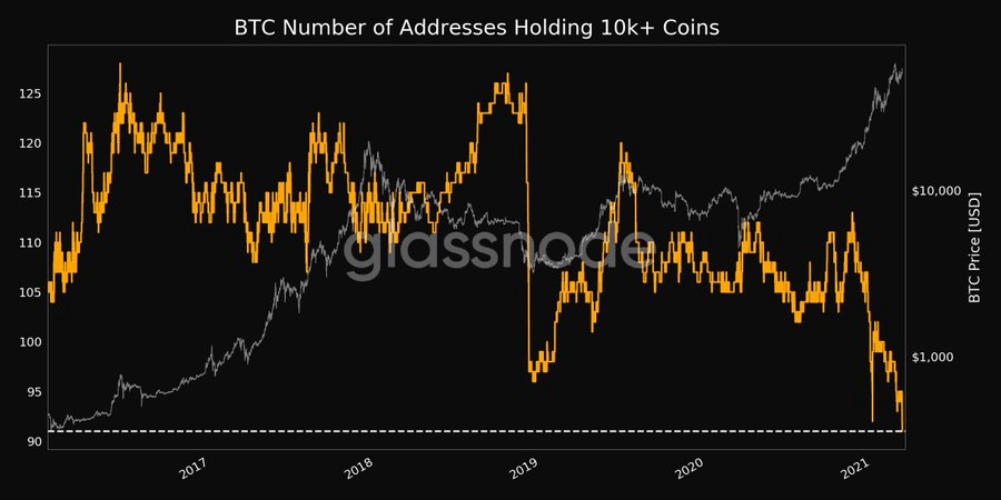 Bitcoinové velryby 10 000+ mincí. Zdroj: Glassnode