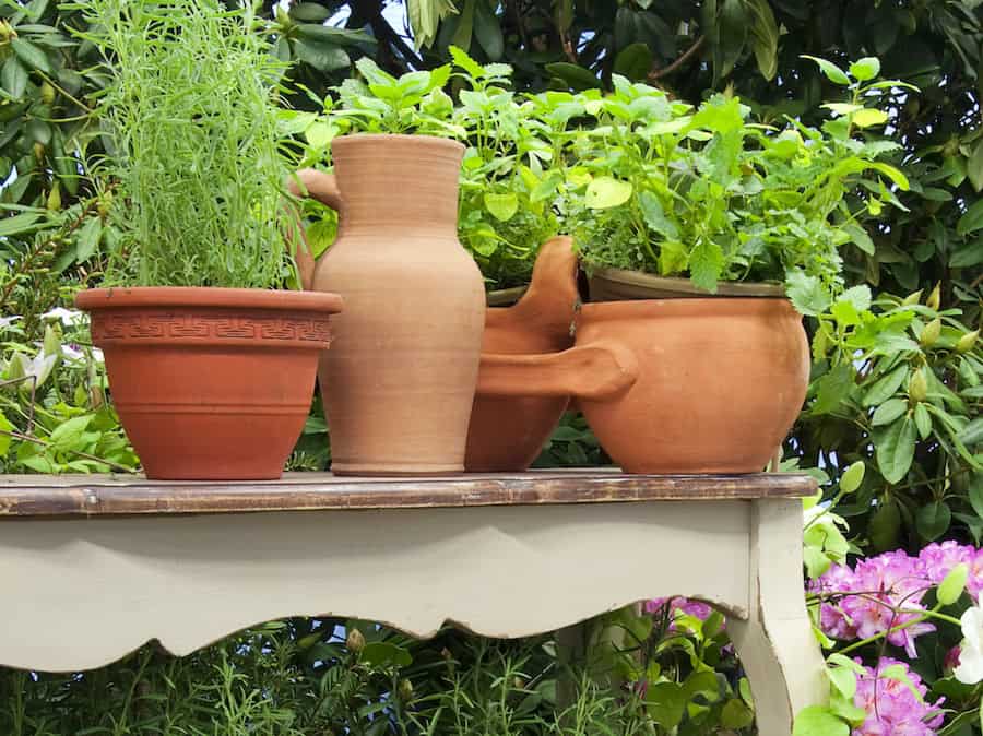 Non-Toxic Sealants & Paints for Terra-Cotta Pots - My Chemical-Free House