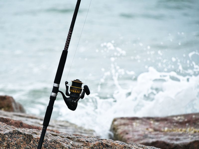 Best reels for inshore fishing clearance