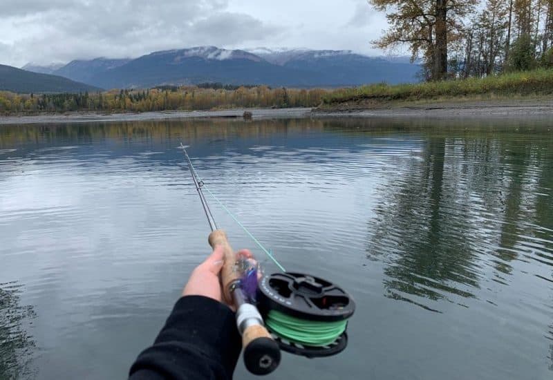 orvis encounter