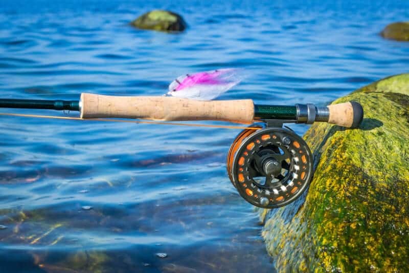 Saltwater Fly Reel Buying Guide Must Have Features And 5 Top Values