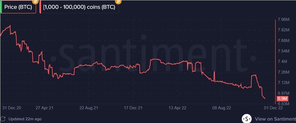 Bitcoin Whales' Ownings. Source: Santiment