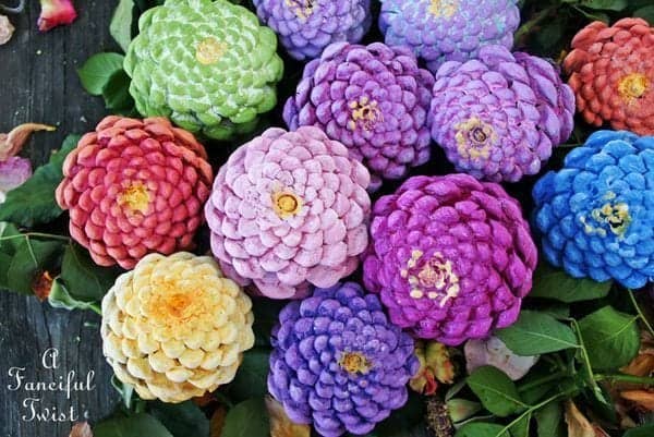 15 Beautiful Pine Cone Crafts To Make Stunning Home Decor