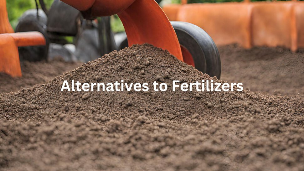 Garden Fertilizer Alternatives: Top Natural Boosters for Lush Growth