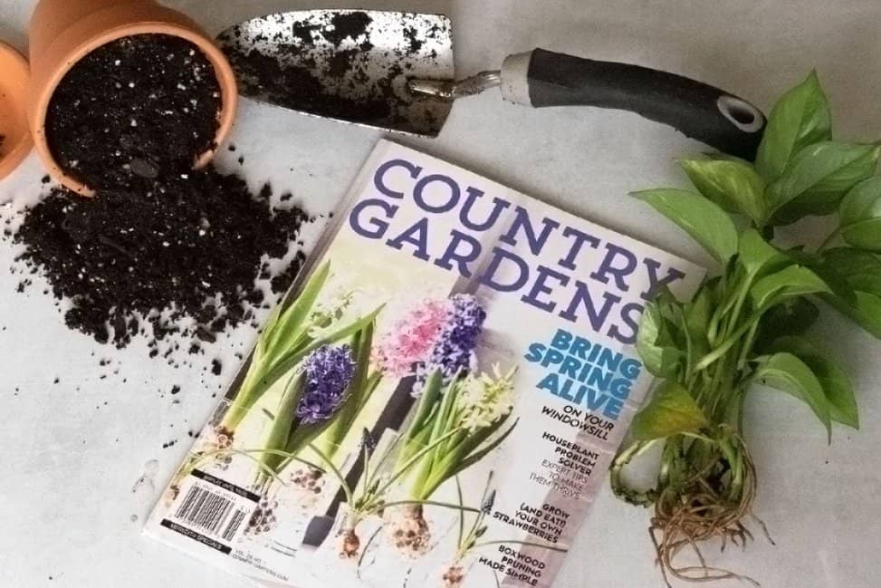 8 Magazine Subscriptions For Gardeners And Green Thumbs