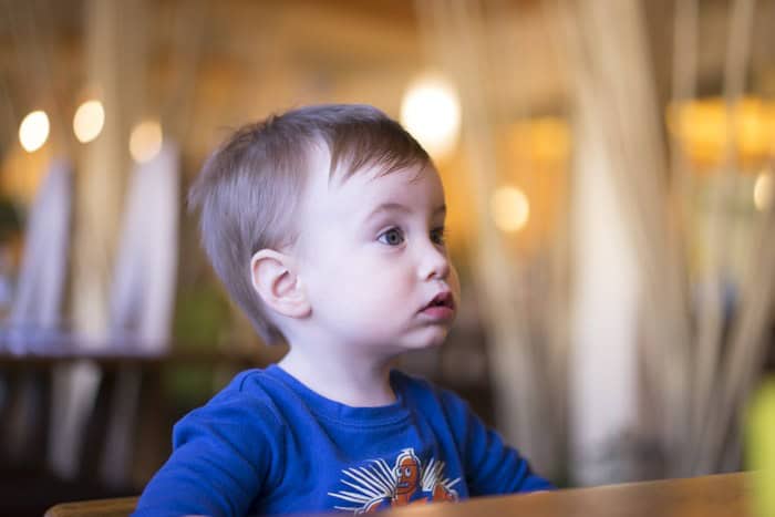 Sony A7 Review Plus Zeiss 55mm F 1 8 More