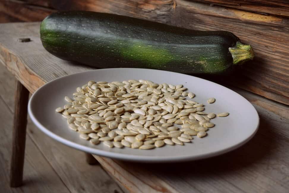How To Save Zucchini Seeds 500 Seeds Per Zucchini
