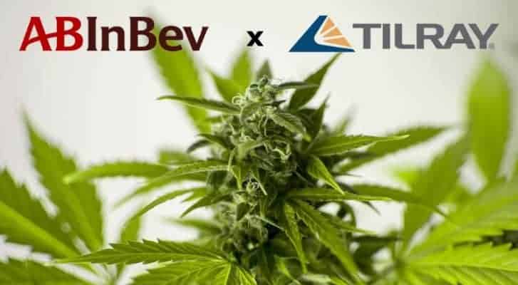 Ab Inbev Melaburkan Lebih Daripada 50 Juta Dolar Dalam Syarikat Ganja Narkoba Inc Eu