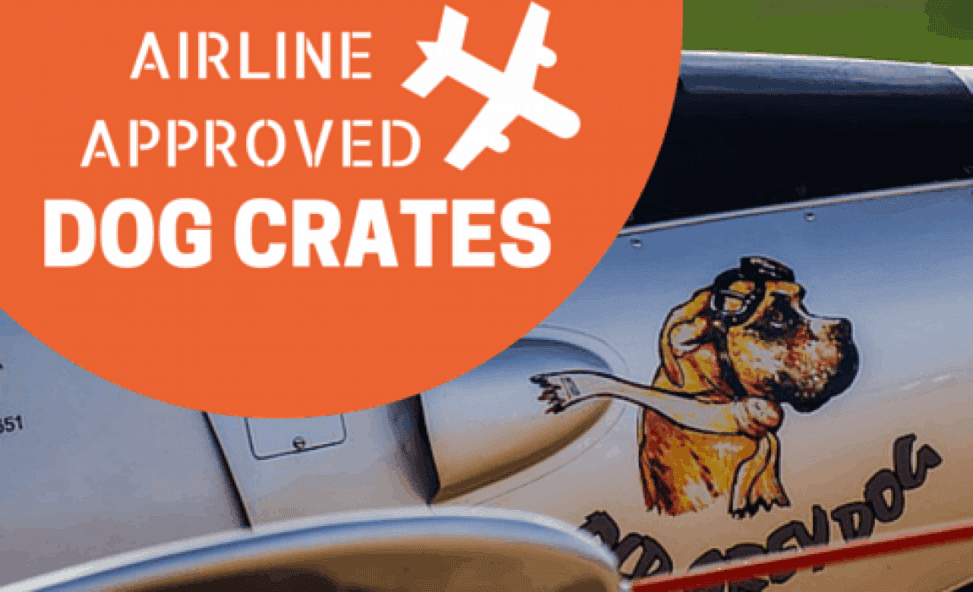 3 Best Airline Approved Dog Crates For When Fido Flies