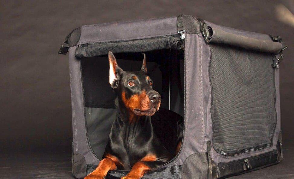 canine crates