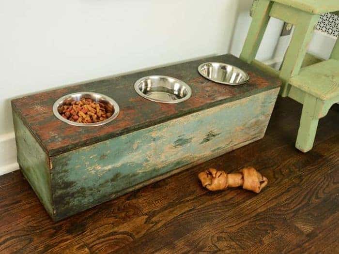 raised dog feeding station