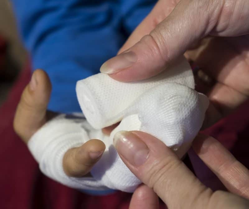 What To Do With A Dog That Bites Their Owner