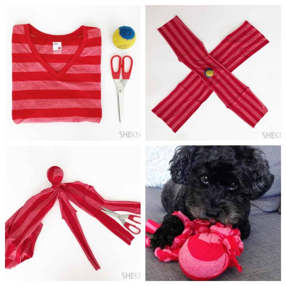 ai dog toy