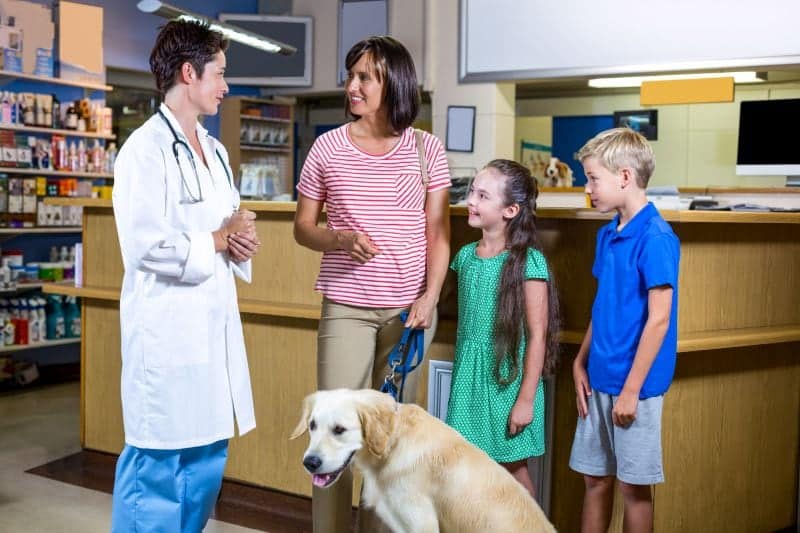 Petsmart Pet Insurance From Banfield 2020 Review Is It Worth The Cost