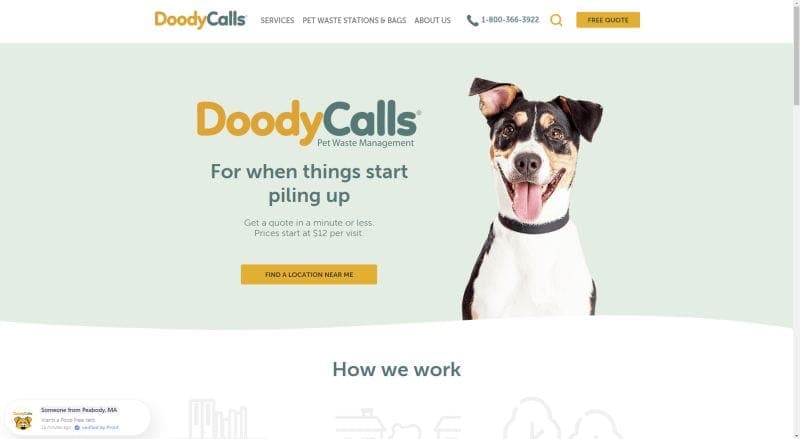 What To Do With Dog Poop 10 Eco Friendly Dog Disposale Solutions