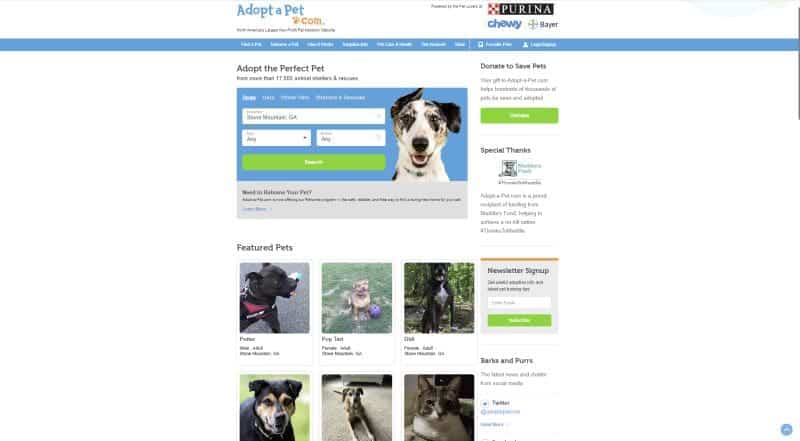 9 Best Pet Adoption Websites Where To Find A New Pooch