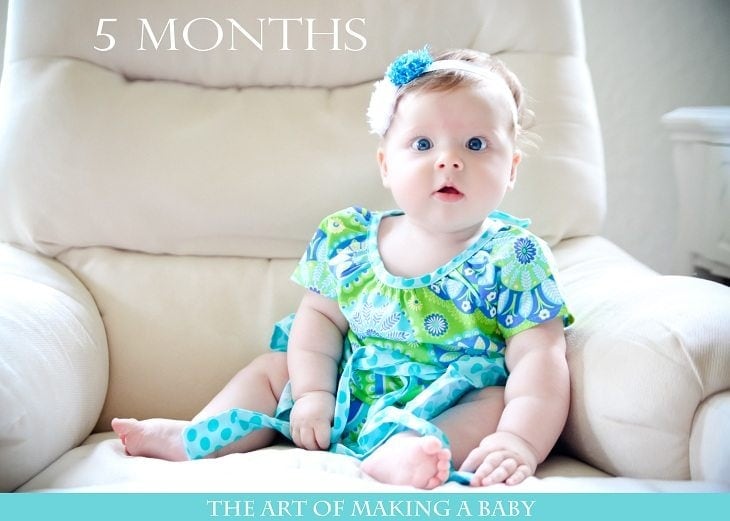 Letters To Lexi 5 Months Every Avenue Life