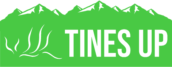 Tines Up Dedication Passion Perseverence