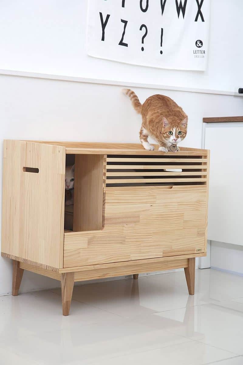 cat box furniture