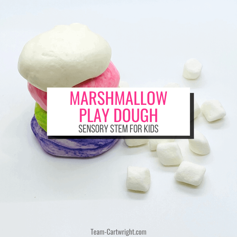 Non Toxic Playdough Brands for 2022