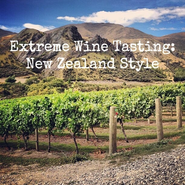 Wine Tasting In New Zealand S South Island