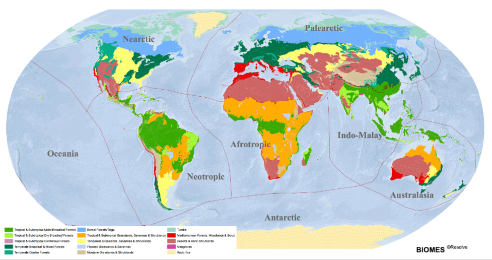 Wwf Ecoregions Interactive Map Terrestrial Ecoregions Gis Data - Gis Lounge
